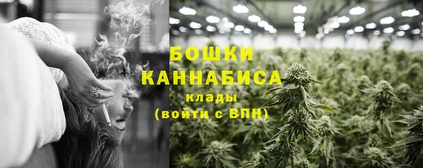 PSILOCYBIN Белокуриха