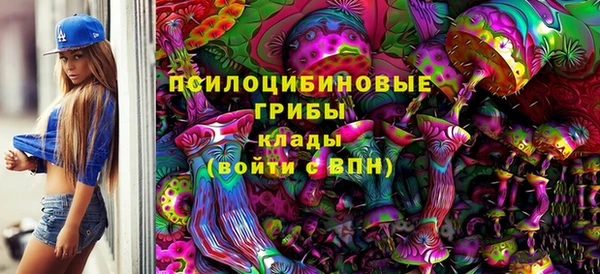 твердый Белоозёрский