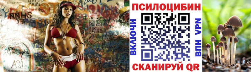 Галлюциногенные грибы Psilocybe  Воркута 